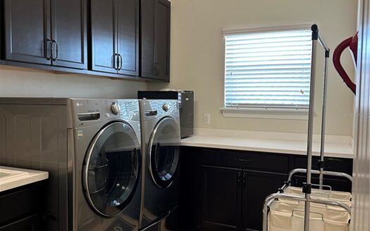 10902 Citron Oaks Drive, Orlando, FL 32836